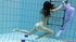 Nude cuties swimming underwater showing those lovely bodies