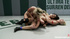 Brunettes vs blondes in this super hot lesbian wrestling scene