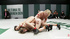 Horny wrestling sluts having a group session with toying